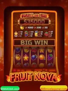 Descubra o Fascinante Mundo de FruitNova: Um Jogo Inovador de Estratégia